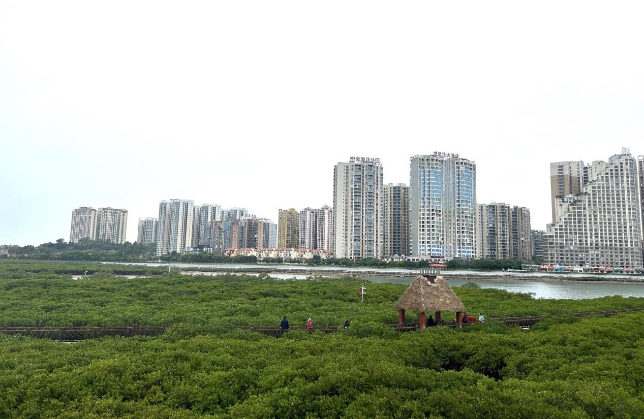 防城港市西湾红沙环海岸风景（黄月芬/摄）